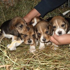 Meet your Posher, Claudia